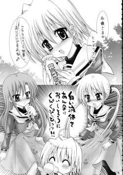 Page 4 of Hayate ni Mirukuwo