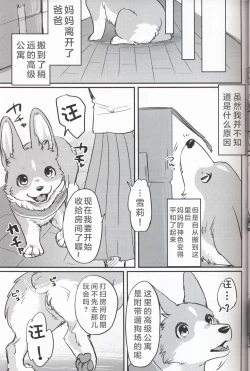 Page 15 of Usotsuki Tachi no " " | 讹言者们的“ ”