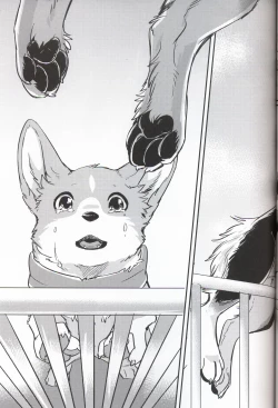 Page 23 of Usotsuki Tachi no " " | 讹言者们的“ ”