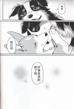 Page 36 of Usotsuki Tachi no " " | 讹言者们的“ ”