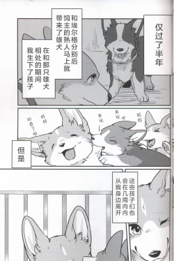 Page 5 of Usotsuki Tachi no " " | 讹言者们的“ ”