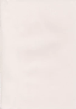 Page 2 of Ja Ja Ja Ja Japan 2