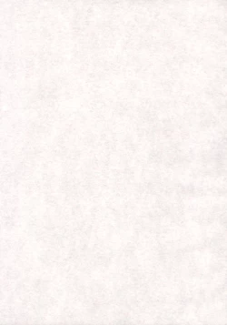 Page 2 of Yoruichi Nyan no Hon 2