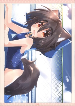 Page 6 of Wanko Collection