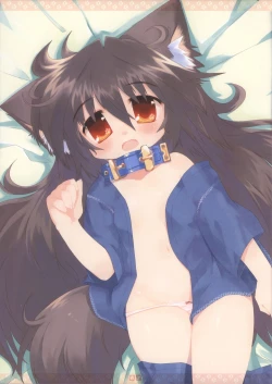 Page 8 of Wanko Collection