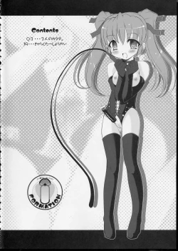 Page 4 of I FORMATION