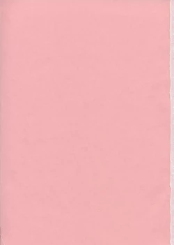 Page 2 of Special Kimigabuchi 2000 Nen Summer Prototype