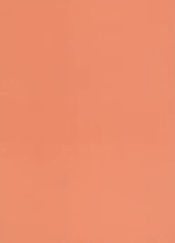 Page 2 of Bijin Joshidaisei Dokubutsu Coffee Konnyuu Jiken| The College Darling's Poisoned Coffee Turnabout