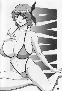 Page 28 of P-LAND ROUND 10