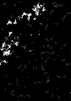 Page 21 of HAPPY END