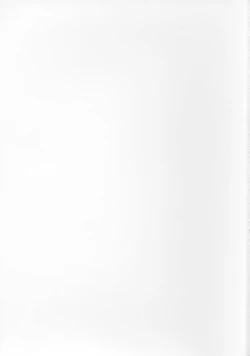 Page 2 of Mitsune SP