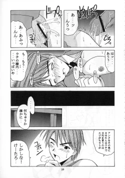 Page 33 of Mitsune SP