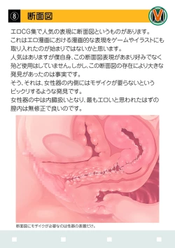 Page 11 of Mosaic Kenkyuu Happyou