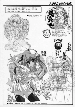 Page 21 of THE Hayate DE Pon! Lite