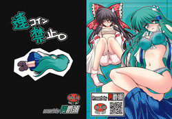 (SC44) [Danshaku Ryou (Danshaku)] Renkoin Kinshi. (Touhou Project)