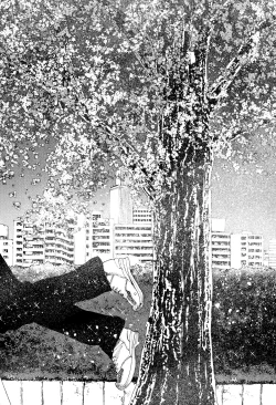 Page 177 of Mankai Harem School