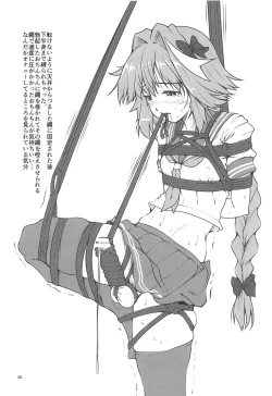 Page 19 of FGO EROmnibus.