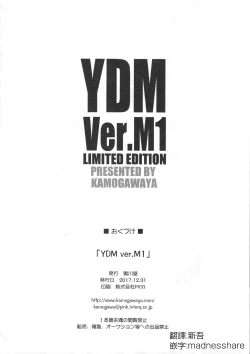 Page 13 of YDM ver.M1
