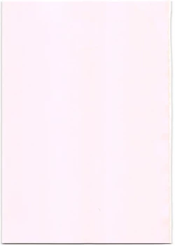 Page 3 of Namaiki Imouto Saimin Onaho