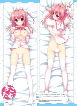 Page 61 of 電撃おとなの抱き枕王 Vol.01