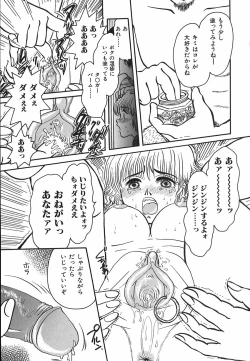 Page 31 of shiawase kazoku