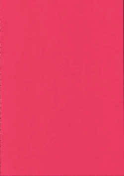 Page 43 of Yuri Mashimaro Strawberry Milk Volume 1