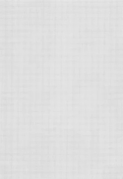 Page 3 of Seijo no Gohoushi