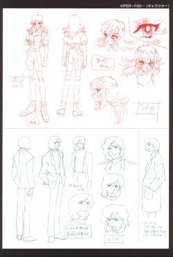 Page 29 of Viper F40