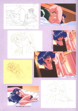 Page 44 of Viper F40