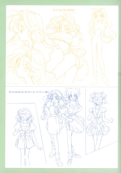 Page 46 of Viper F40