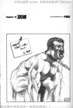 Page 162 of PRIDE Vol. 2