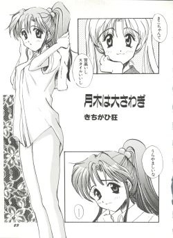 Page 28 of Bishoujo Doujinshi Anthology 3 - Moon Paradise 2 Tsuki no Rakuen