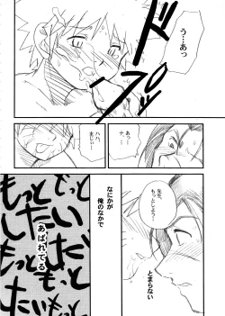 Page 17 of IruNaru no Wadachi