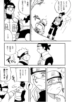 Page 25 of IruNaru no Wadachi