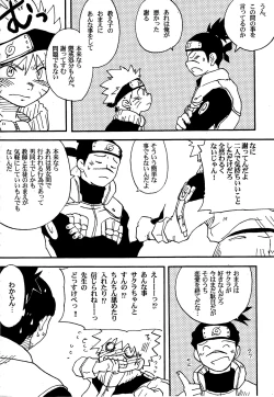 Page 29 of IruNaru no Wadachi