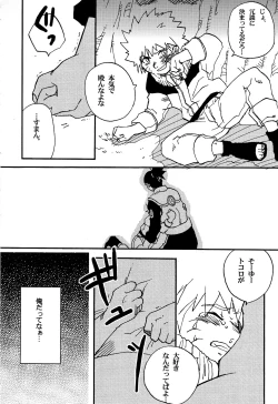 Page 33 of IruNaru no Wadachi