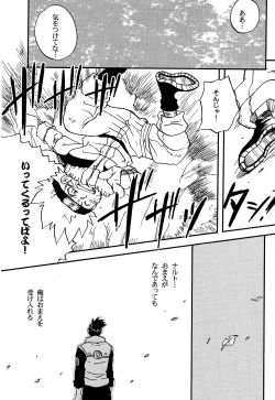 Page 46 of IruNaru no Wadachi