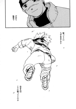 Page 47 of IruNaru no Wadachi