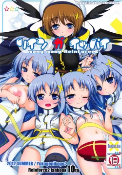 Page 1 of Rein ga Ippai