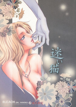 Download Mayoi Neko | Stray cat