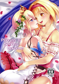 Download Princess is Seeking Unknown