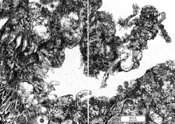 Page 66 of Jigoku no Kisetsu| Hell Season