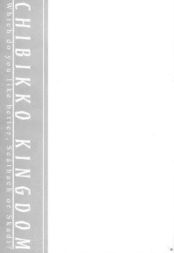 Page 14 of Dochira no Scathach Show