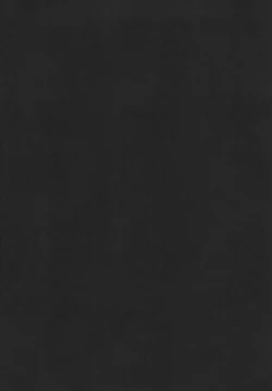 Page 3 of Dangerous Beauty