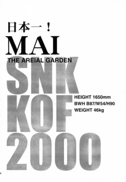 Page 33 of NINJA MANIA MILLENNIUM