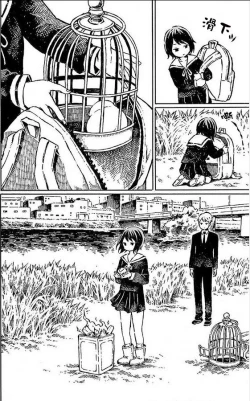 Page 19 of That is just the dick of senior 08