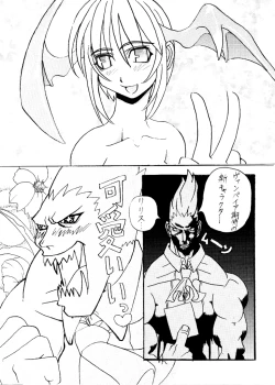 Page 3 of Darkstalkers Black-Box