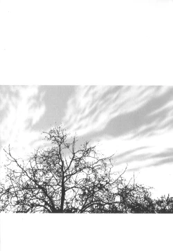 Page 166 of House of Brutes Vol 2