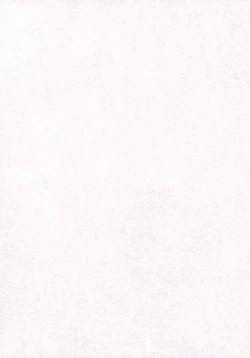 Page 3 of Delight Beppin