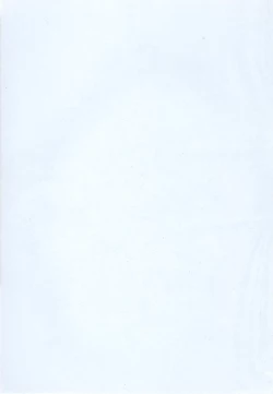 Page 2 of Mei Bursts